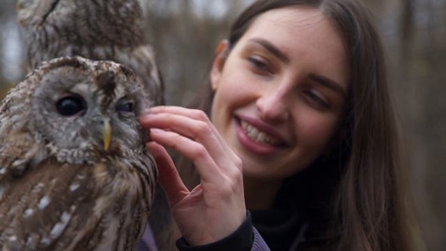 Печать художественного фотокалендаря на 2021г. с изображением сов приюта OWLS PLACE и медийных люде смотреть онлайн