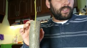 прививка грецкого ореха весной и летом разними способами)))
