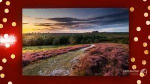 Joyce Jonathan - Ca Ira