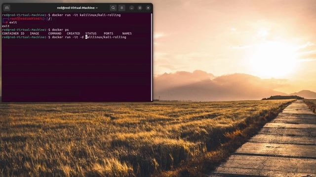 You Will Definitely LOVE KALI on DOCKER смотреть онлайн