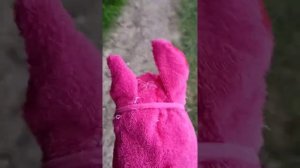 Прогулка на хоббихорсе по селу и полю