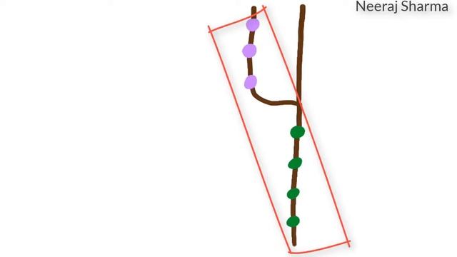 What is branch in git? In Hindi - Neeraj Sharma смотреть онлайн