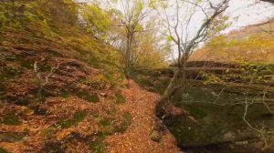 Полегналата скала под Шарлъка и наоколо - Small cave and around under Sharlaka waterfall