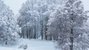 «…В тот год осенняя погода…».  Читает Николай Алексеев