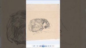 наброски и зарисовки