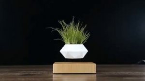 Левитирующий горшок с цветком. Levitating flower pot.