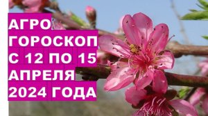 Агрогороскоп с 12 по 15 апреля 2024 года Agrohoroscope from April 12 to 15, 2024