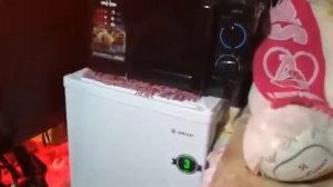 Моя работа. Мой дом на колесах. Frieghtliner Colambia (фредлайнер коламбия)