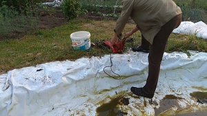 Пруд на даче. Ловля карася.