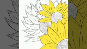 Рисунок подсолнуха на планшете