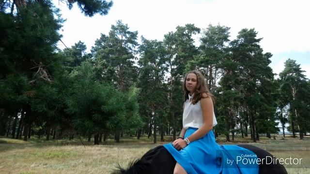 Не многие могут понять, что значит лошадь потерять/Долина смотреть онлайн