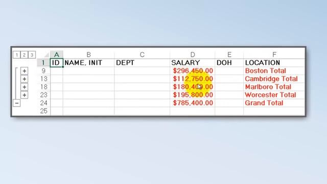 Subtotals on the Fly with Excel VBA смотреть онлайн