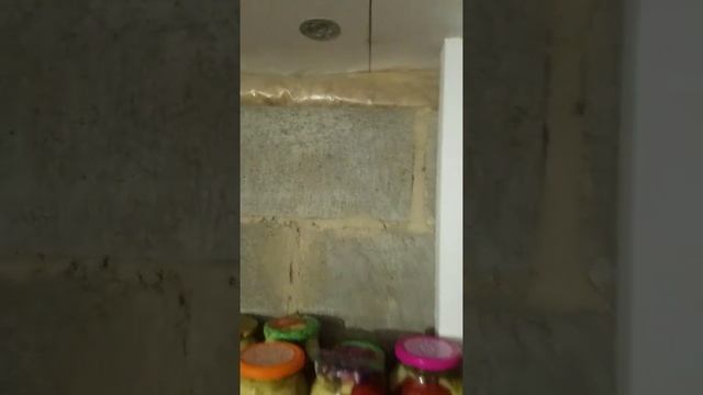 частный дом погреб под домом на сваях. смотреть онлайн