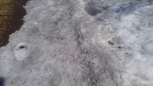 Не ожиданный поворот: утром снег, а вечером вода в парке