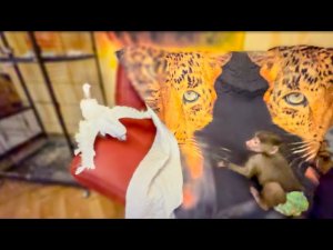 Люська НАПИЛАСЬ КОФЕ и сидит ИКАЕТ! Соня отказывается играть с Владом пока у него ЛЮСЬКА НА ШЕЕ!