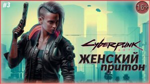 База Шельм ► Cyberpunk 2077  | 3 |