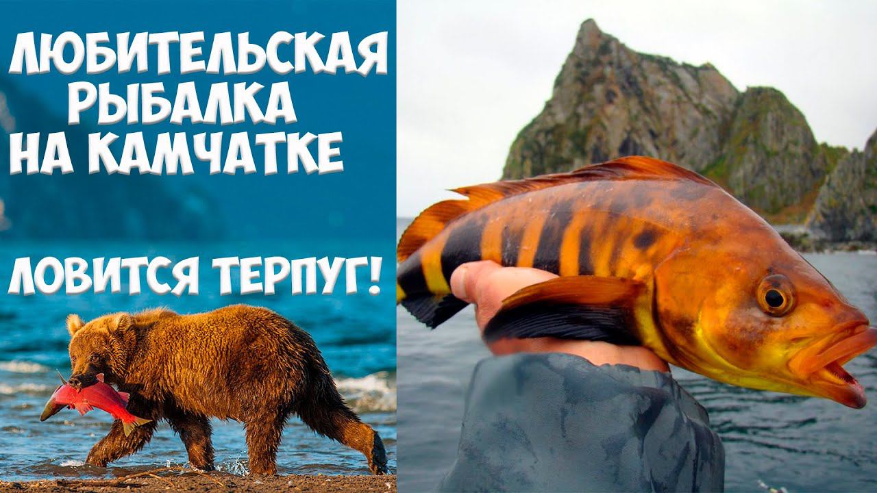Рыбалка на Камчатке Ловится терпуг