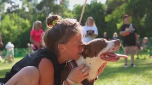 Команда DogsEnergym г. Санкт Петербург на пит-стафф многоборье Jump'n'Gym г. Москва. Август 2022
