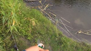 Короткая рыбалка в Ульяновске. Река Барыш