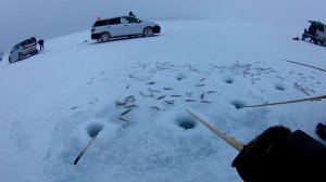 Рыбалка. Ловим корюшку.