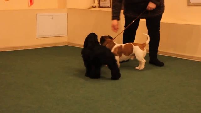 MVI 9710 смотреть онлайн