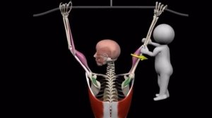 Как избавиться от боли в плечах при подтягиваниях и тяге