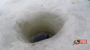 Ловля леща зимой.  Бешеный клев.  Поклевки на камеру.  Сходы.  Нервы!