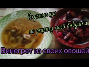 Щи из свежей капусты со свекольной и морковный ботвой!Вкусный винегрет из овощей с огорода))