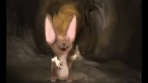 Летучая мышка песенка