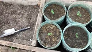 2019 Май. Tazz K32. Измельчитель сена и травы. Использование измельчённой травы