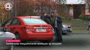 Хулиганы поцарапали более 30 машин