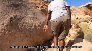 Change my CRF250L for a Honda Africa Twin from 1988 with 150.000 kilometres! [S5 - Eps. 54].