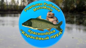 Как поймать Краснопёрку на Карасёвом пруду [АРХИВ] | Реальная Рыбалка.