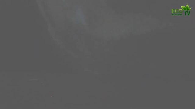 Пакеты. Cпециальный репортаж Eco TV Moldova смотреть онлайн