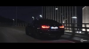 SVNPURV - DINGER