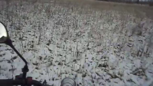 Мухтар 2015 .По полю. смотреть онлайн