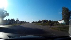 Репки (Черниговская область) Украина