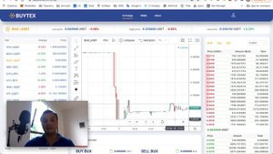 Buytex. Падение токена на 670% - это скам? Что будет с токеном BUX. Когда отрастет к 0.3$. Байтекс