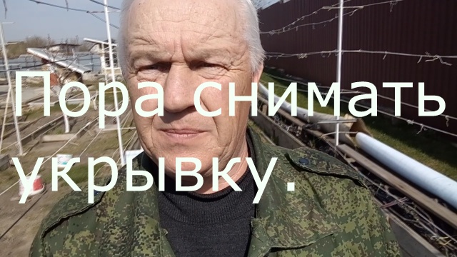 Открываем виноград.