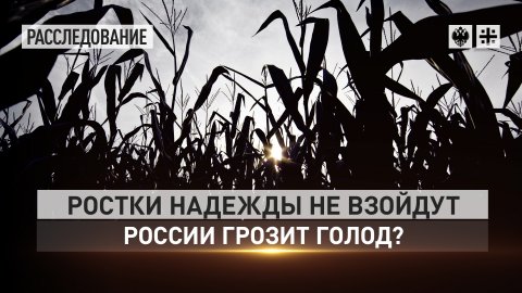 Ростки надежды не взойдут. России грозит голод?