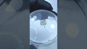 Простой маникюр со стемпингом!