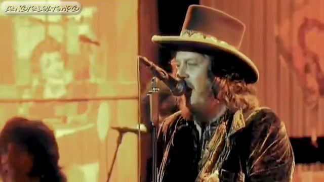 Zucchero - Baila Morena (Live In Italy 2008) смотреть онлайн