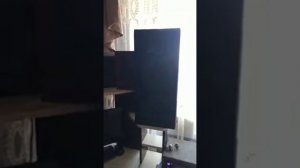 2 пары апокалипсисов ap 81se.Автозвук дома.