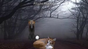 Wcmv/meme из-за меня wildcraft