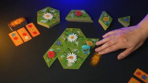 МЕДОВЬЕ. Обзор и правила настольной игры от Эврикус