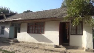 Куштор дар Муъминобод. 27 08 2019.