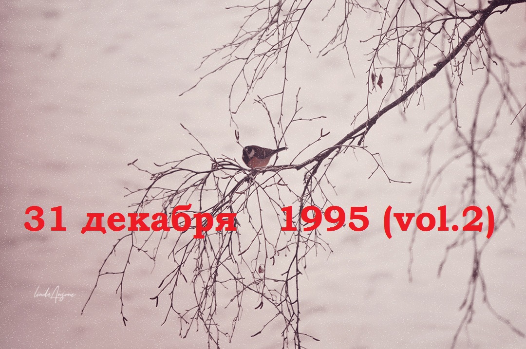 Декабрь 1995