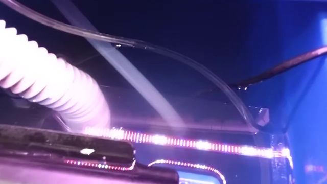 СИТИ-ФЕРМА NFT: Подготовка к отпуску смотреть онлайн