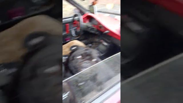 5.ПОЕЗДКА В ПИТОМНИК ЗА САЖЕНЦАМИ!!!.ВСЯ СЕМЬЯ В СБОРЕ.ПОКАТУШКИ В ХОЛОДУШКУ.УГОЛЬКУ РАЗВЛЕКУХА!!!! смотреть онлайн