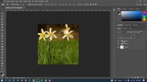 Class#5 | Photoshop Layer Panel | Adobe Photoshop Tutorial for Beginners | Kabir Ahmed